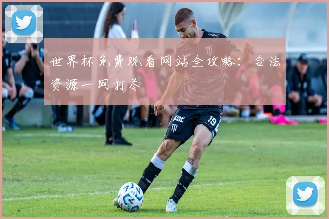 世界杯免费观看网站全攻略：合法资源一网打尽
