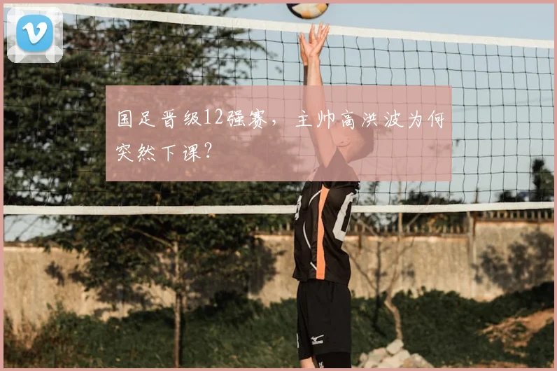 国足晋级12强赛，主帅高洪波为何突然下课？